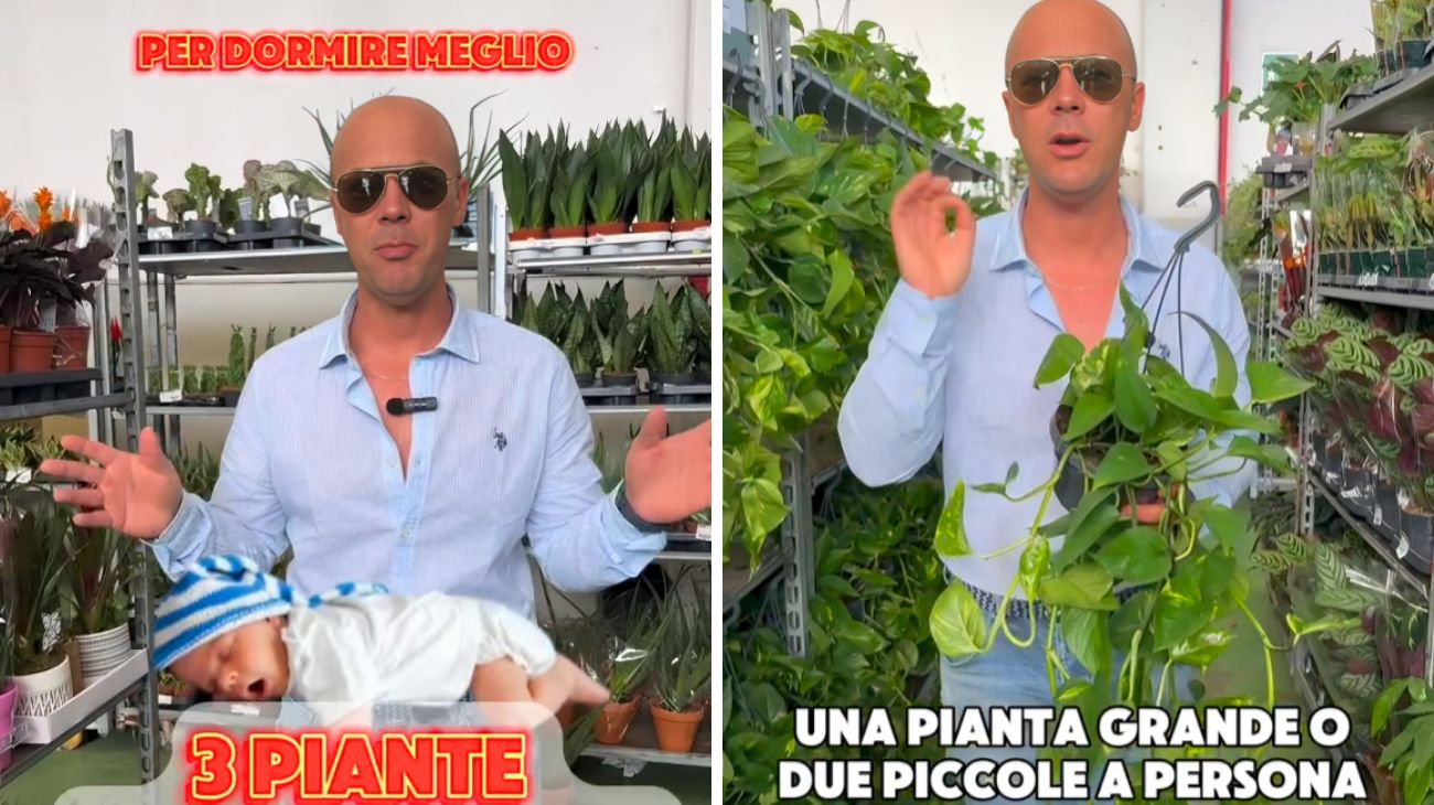 Le 3 piante che aiutano a dormire meglio