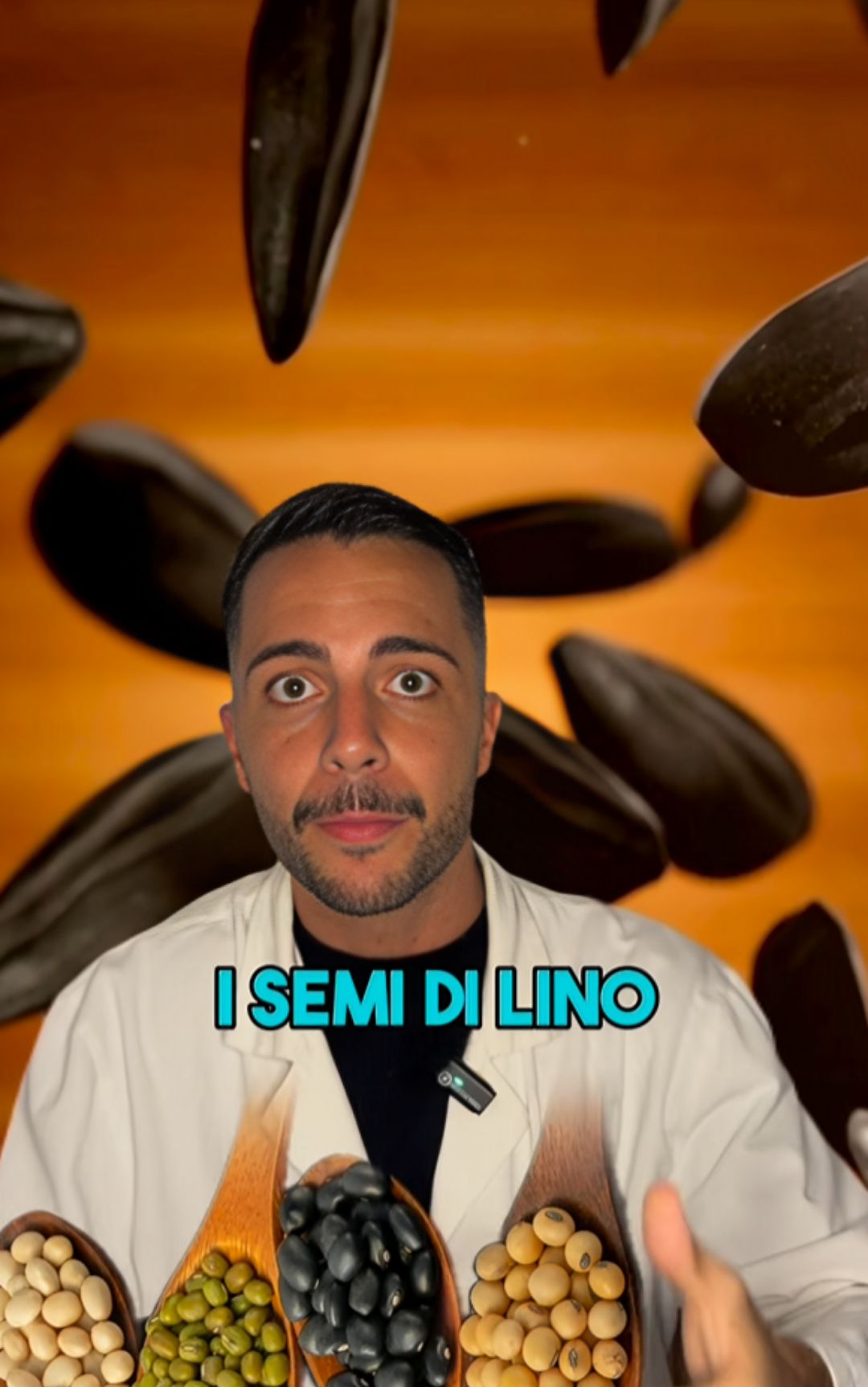 Stipsi, l'importanza dei semi di lino