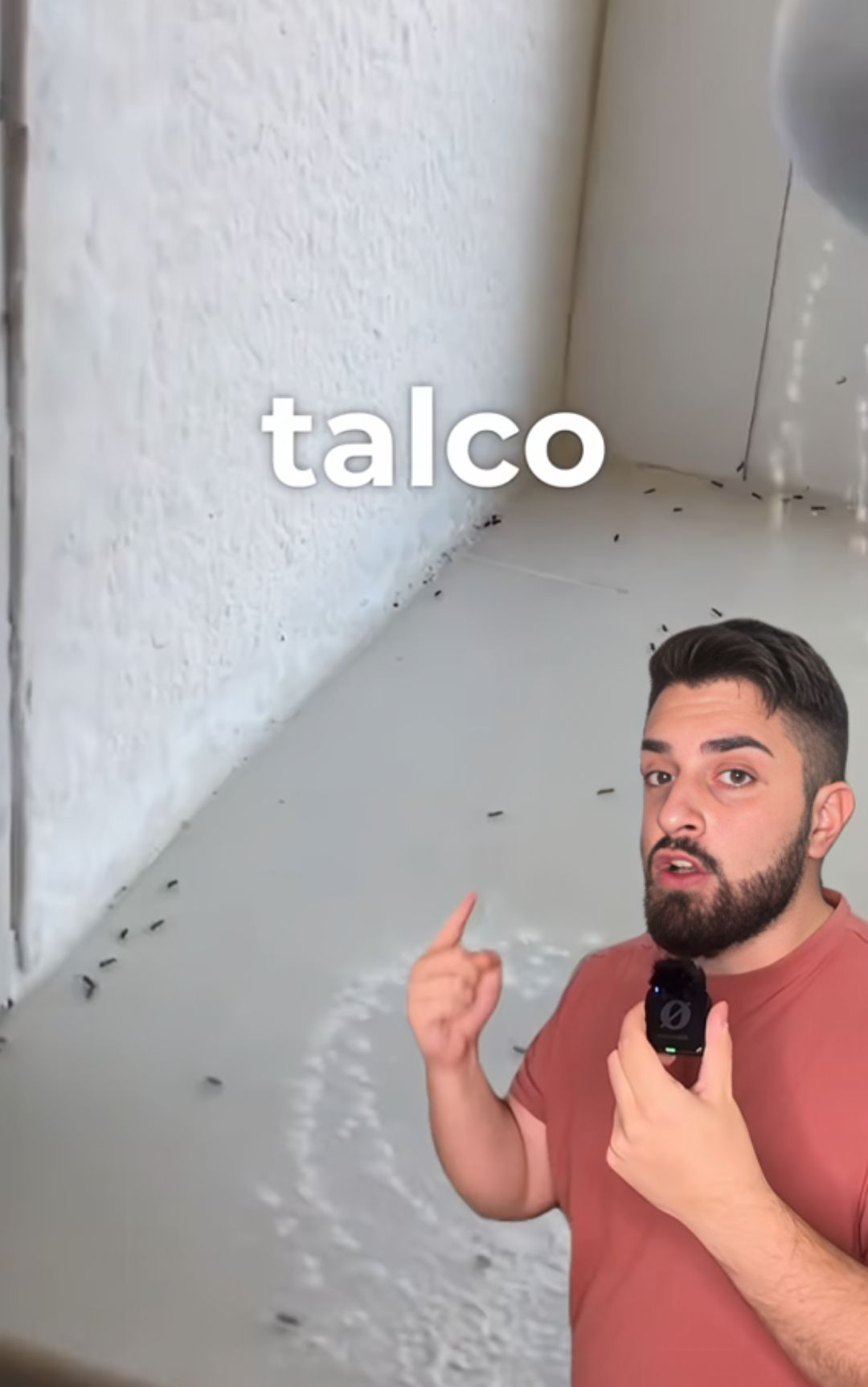 Talco, quando può essere usato contro le formiche