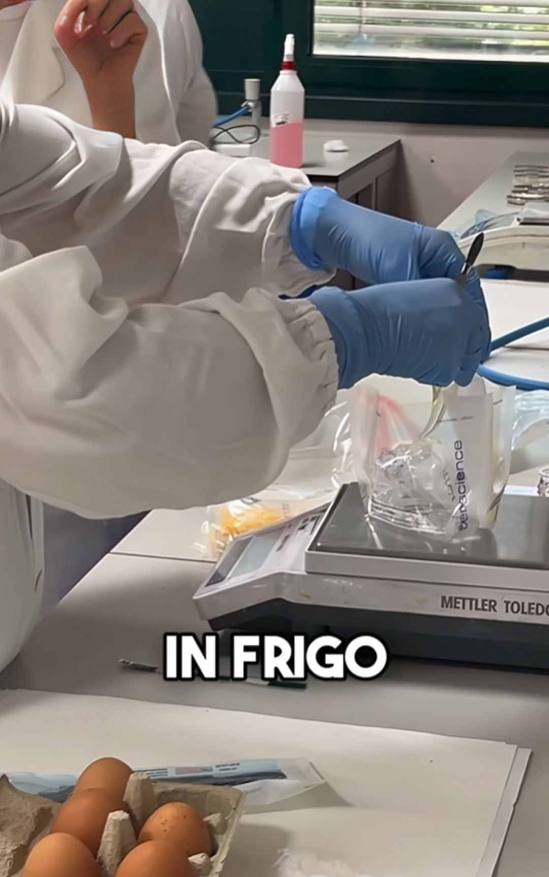 Uova, perché vanno sempre conservate in frigorifero