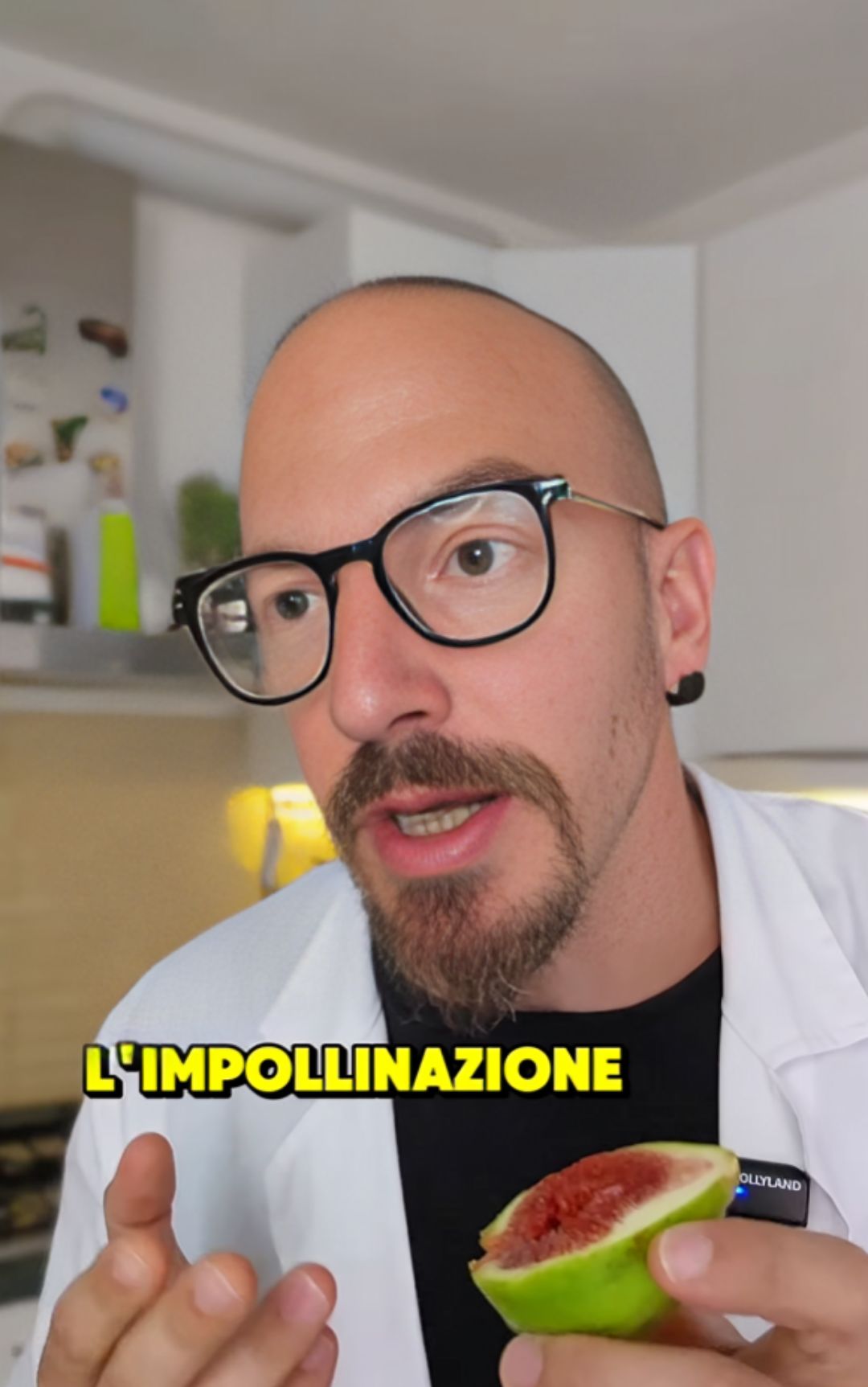 L'esperto fa chiarezza sul legame tra vespa e fico