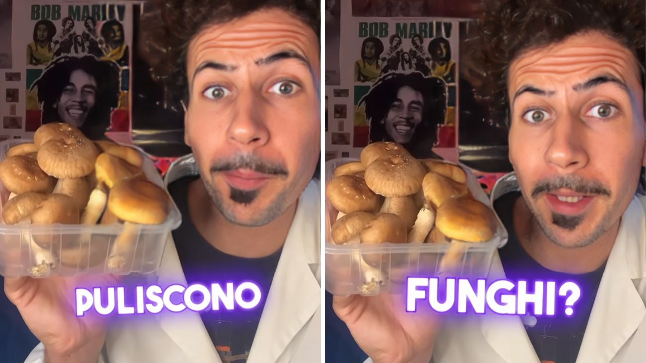 Funghi, l'importanza della pulizia prima di mangiarli