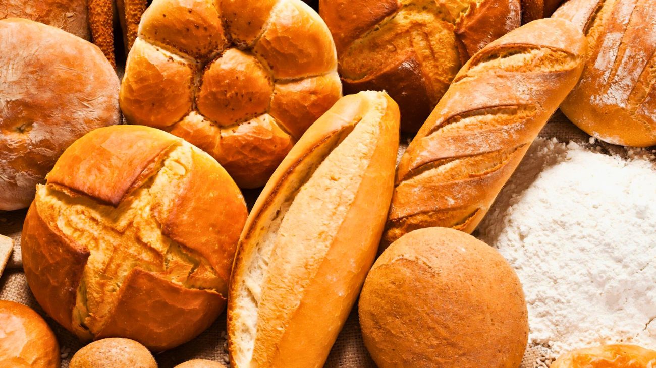 Fette biscottate pane