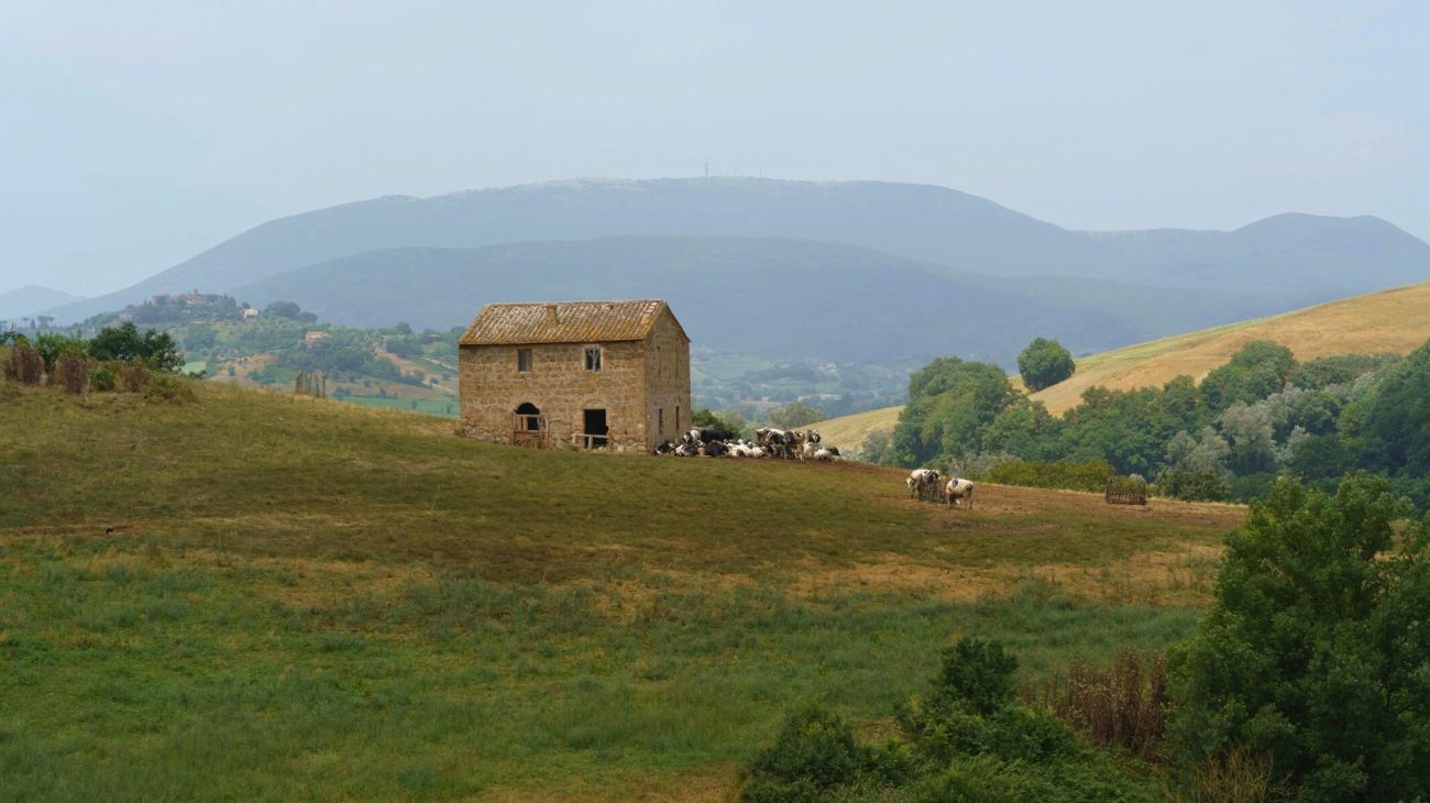 Lazio concorso pubblico