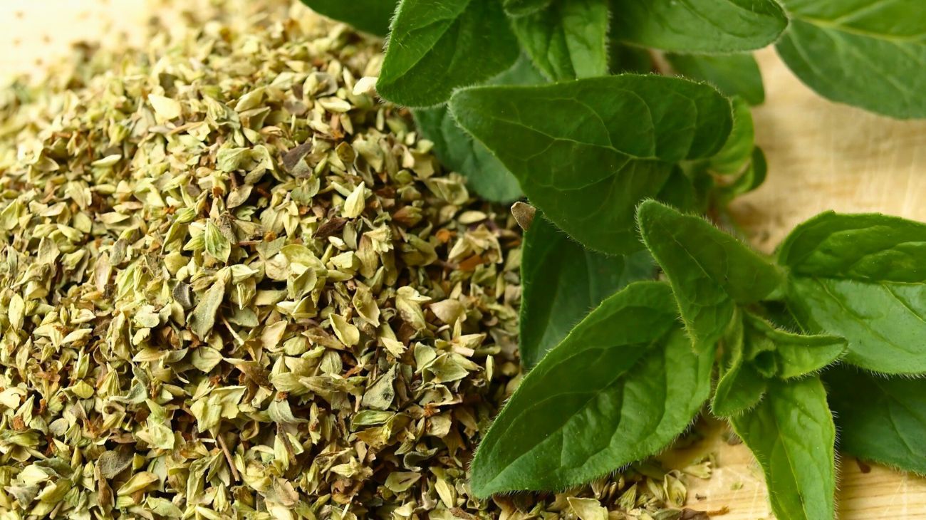 Pianta toccasana ginocchia