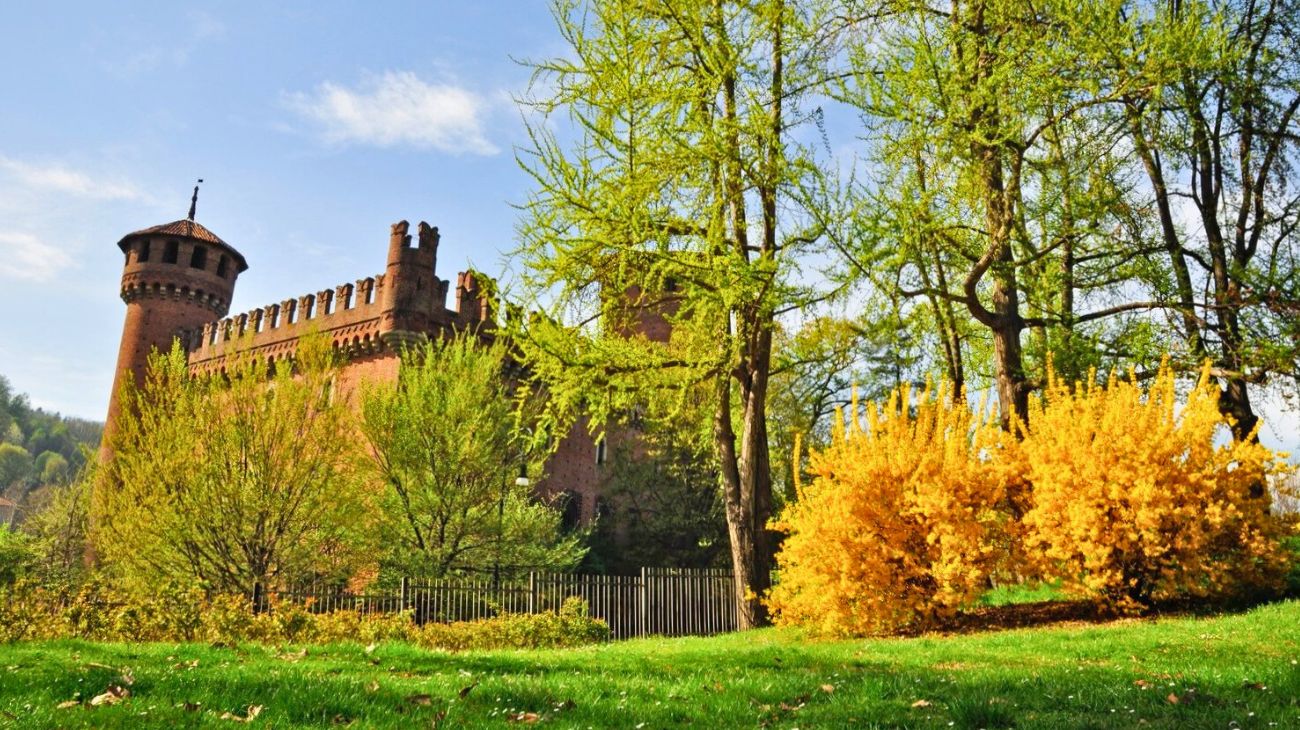 Torino concorso diplomati