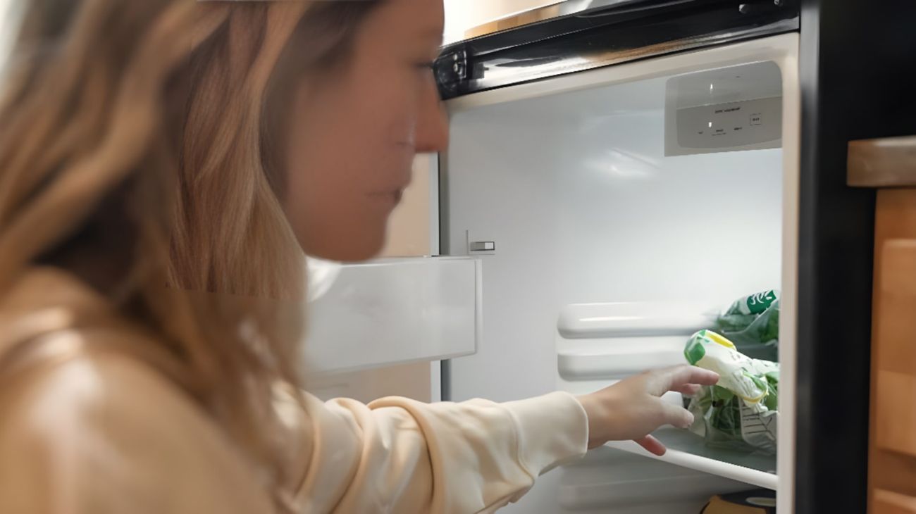 Cibo caldo in frigorifero: le condizioni ideali per la proliferazione batterica