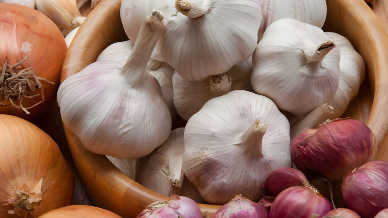 Gli alimenti che non possono assolutamente essere mangiati dai cani