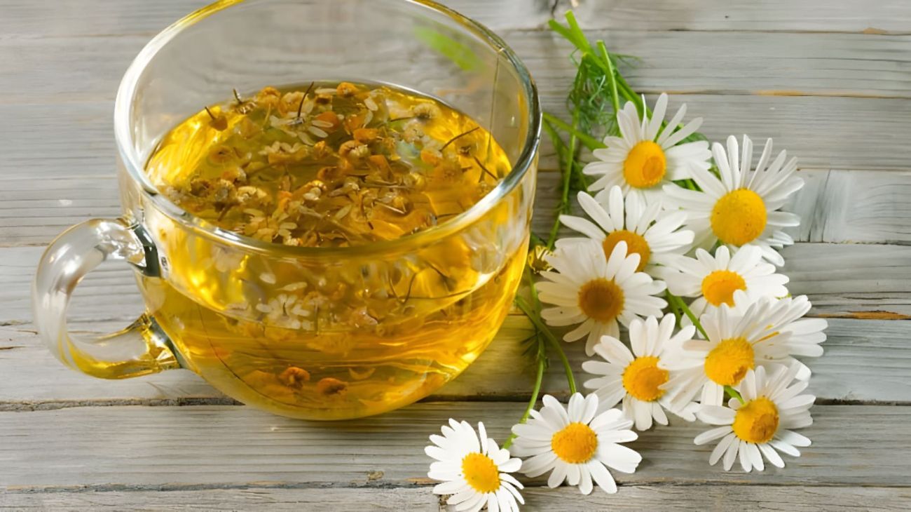 Camomilla, l'importanza di rispettare i tempi di infusione