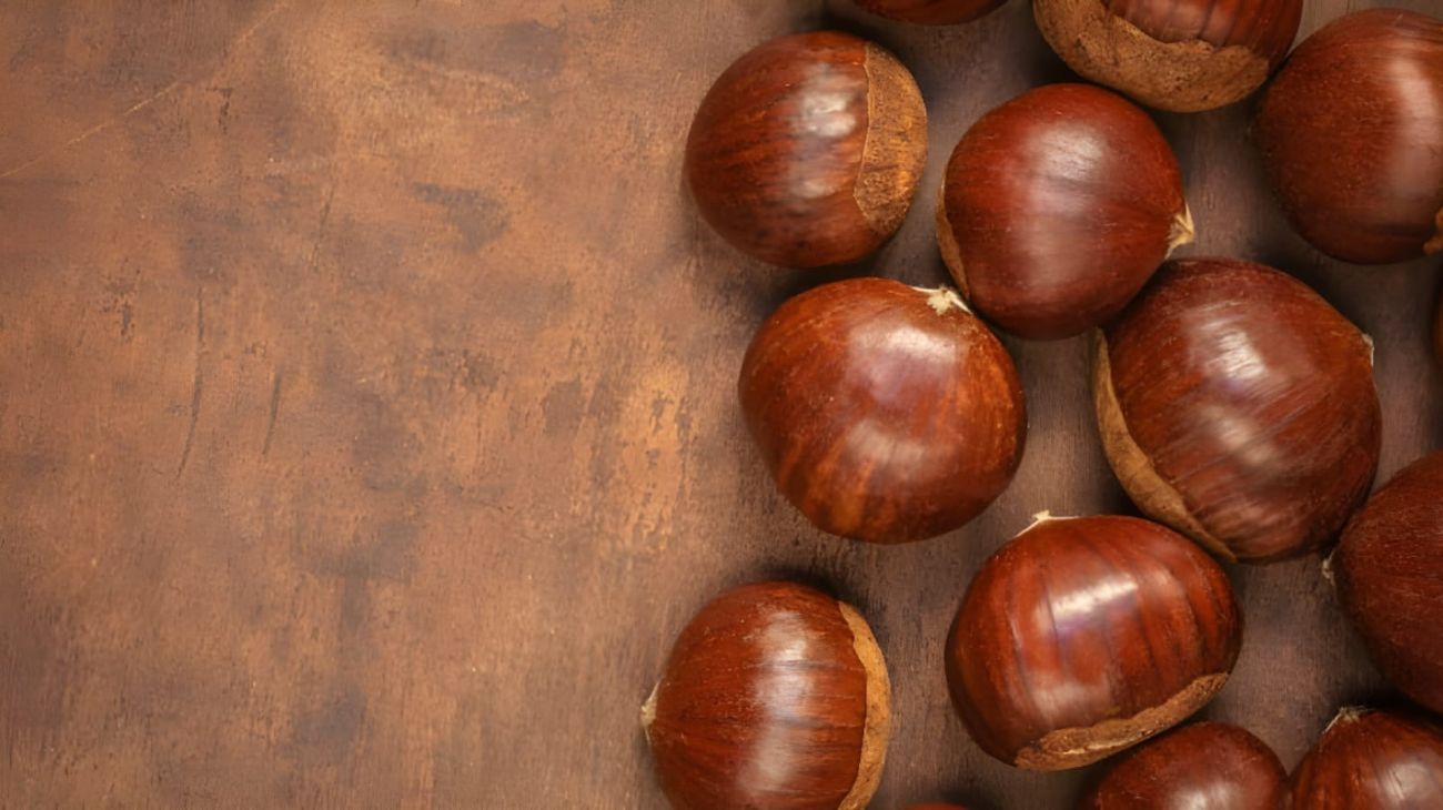 Castagna matta, perché va evitata