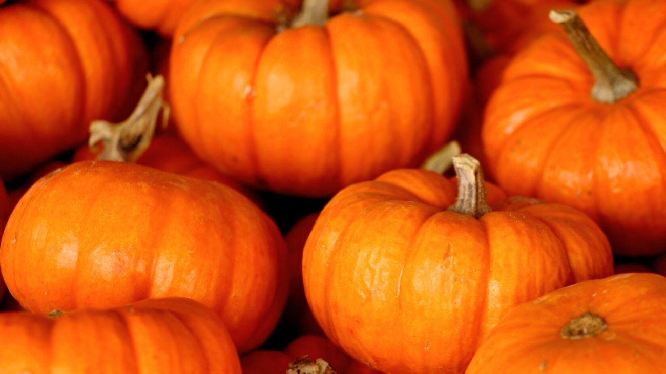 Gli alimenti da inserire nella dieta di novembre