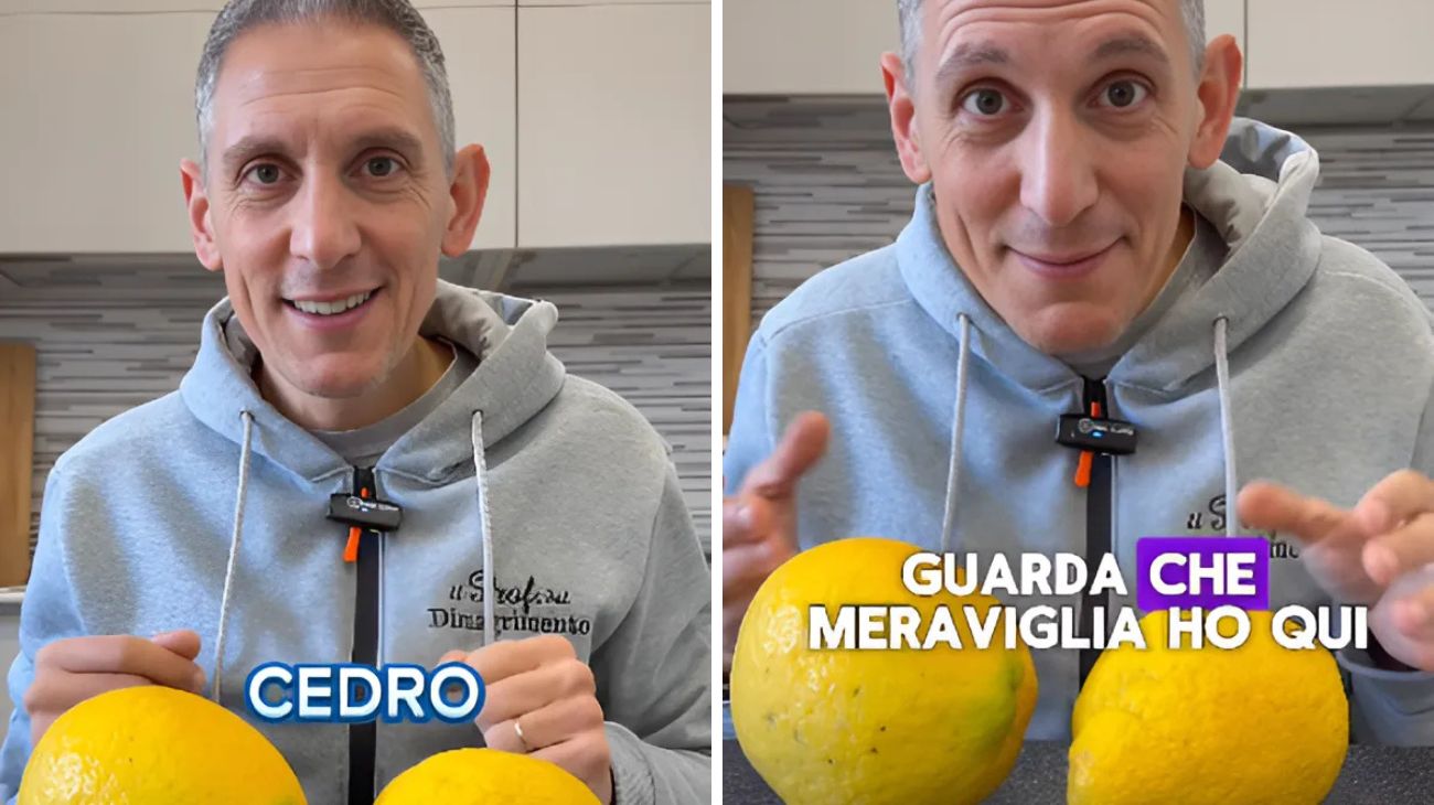Cedro frutto