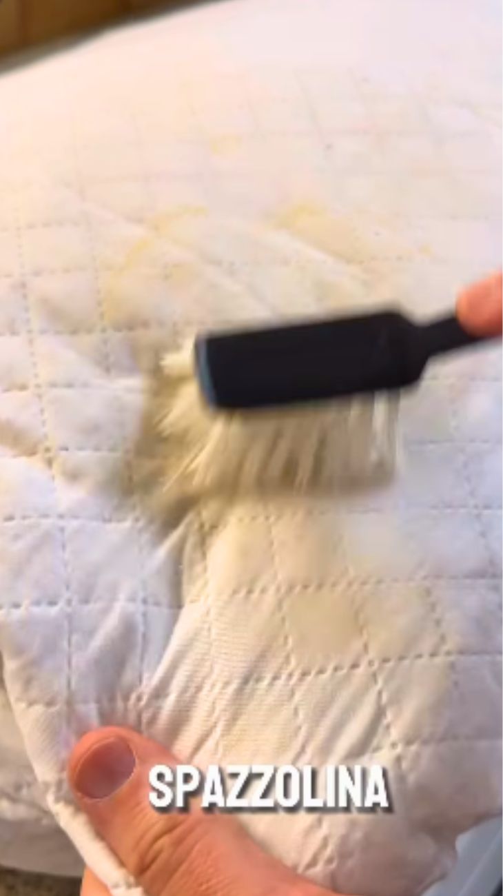 Cuscini macchie gialle