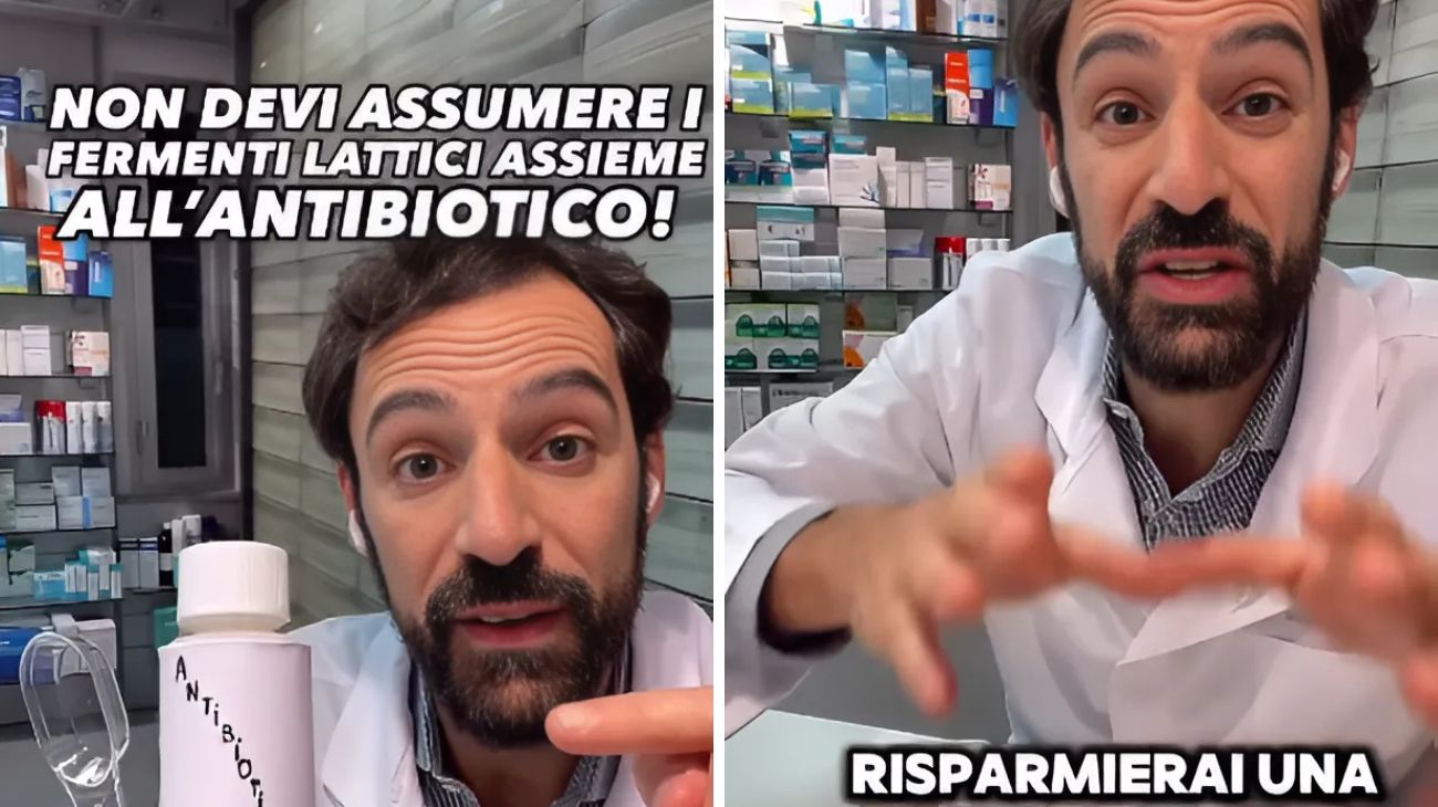 Fermenti lattici antibiotici