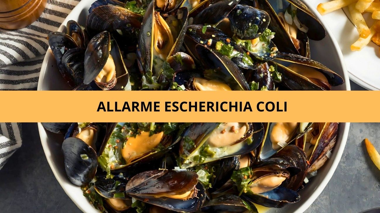 Frutti mare lotti ritirati