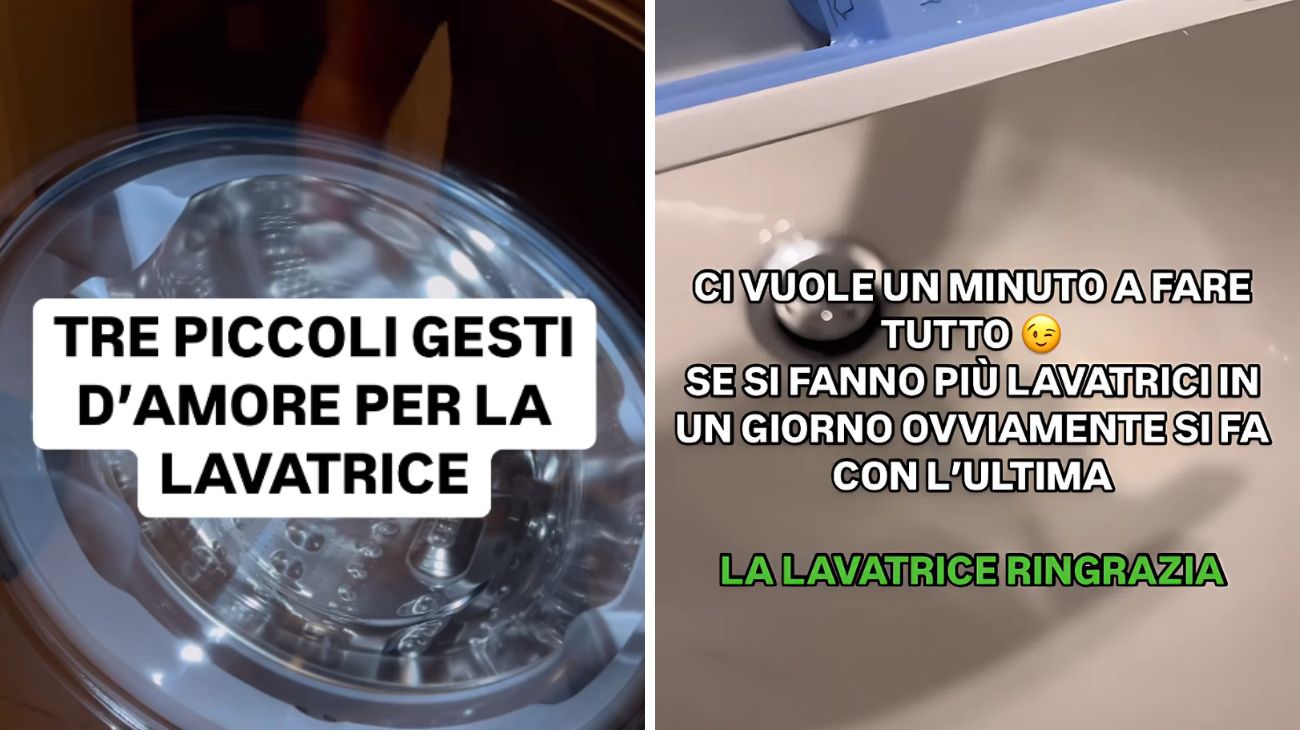 Lavatrice muffa gesti