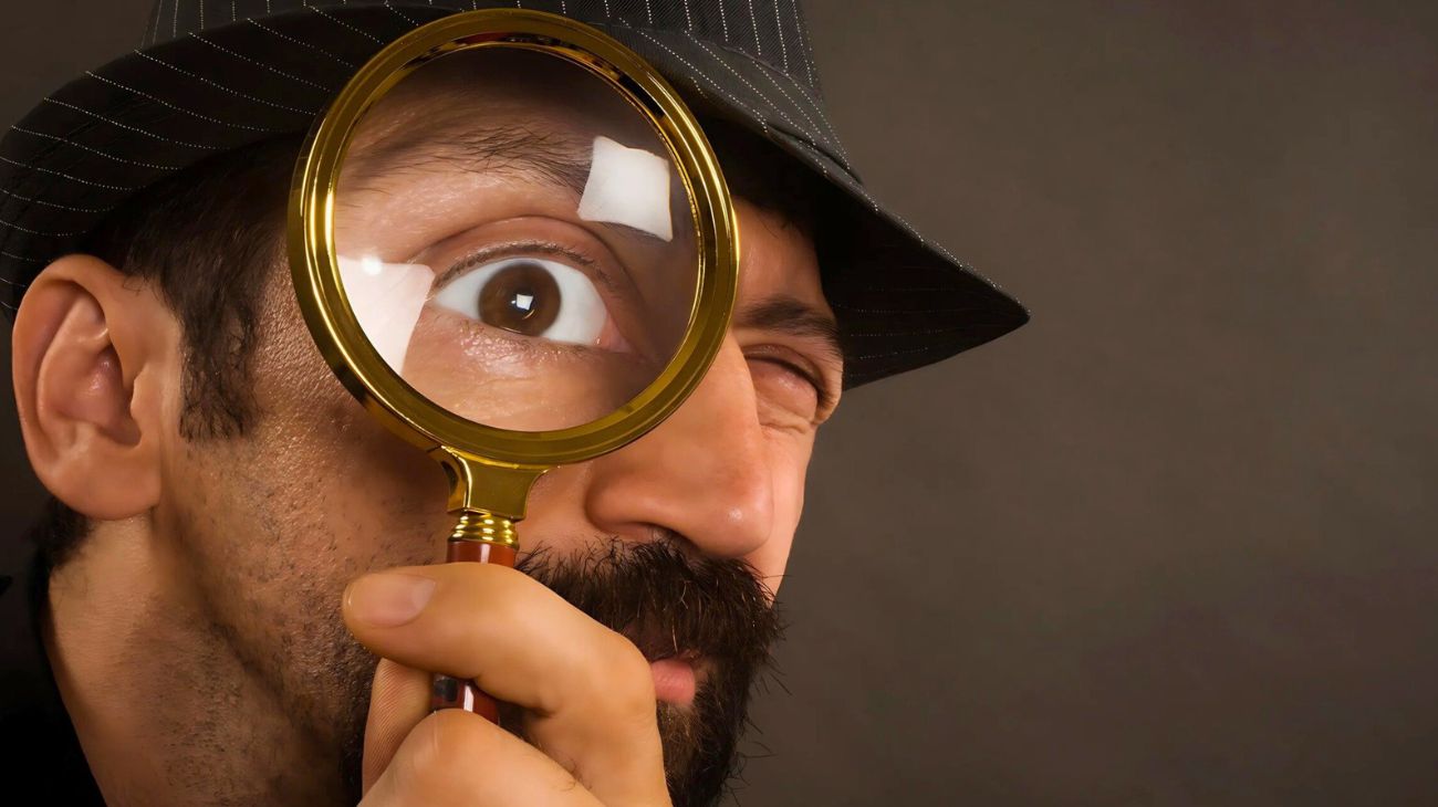 Lavoro dipendenti privati spiati