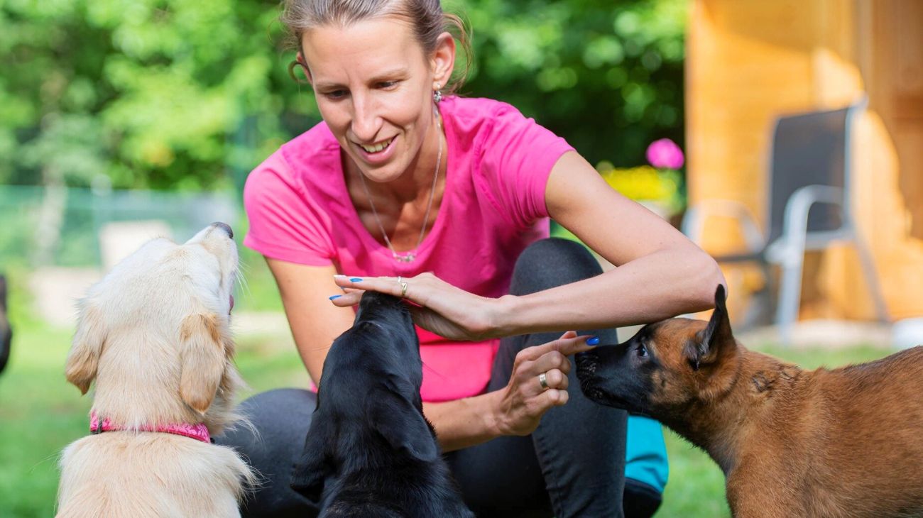 Lavoro intelligenza artificiale addestratore