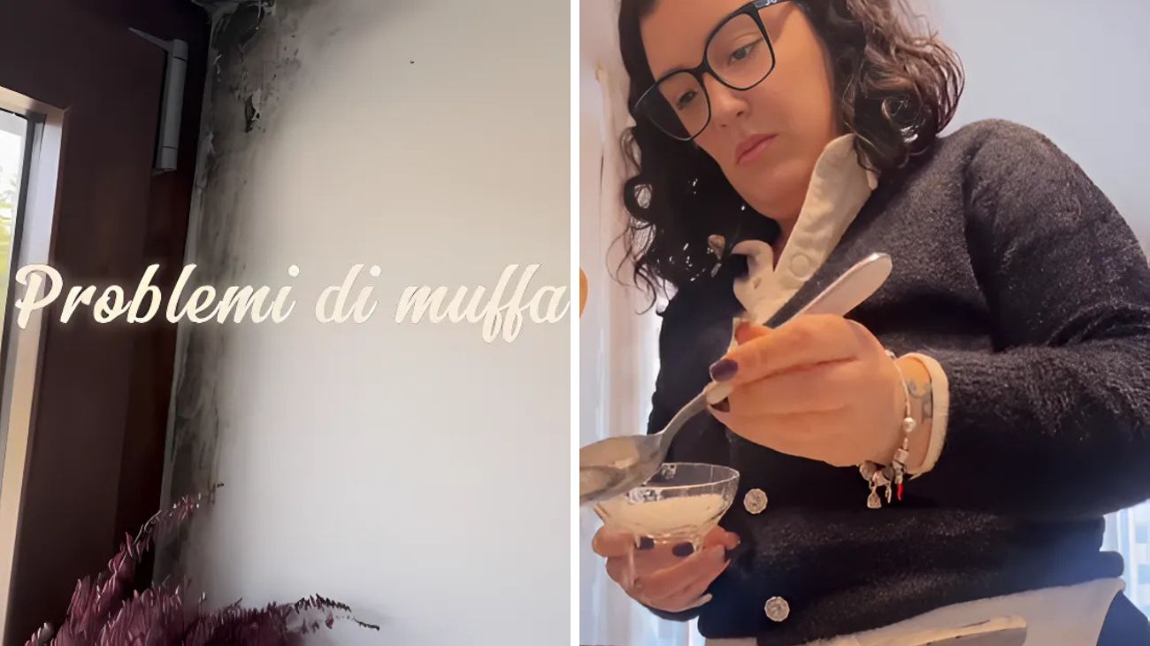 Muffa soluzione ecologica