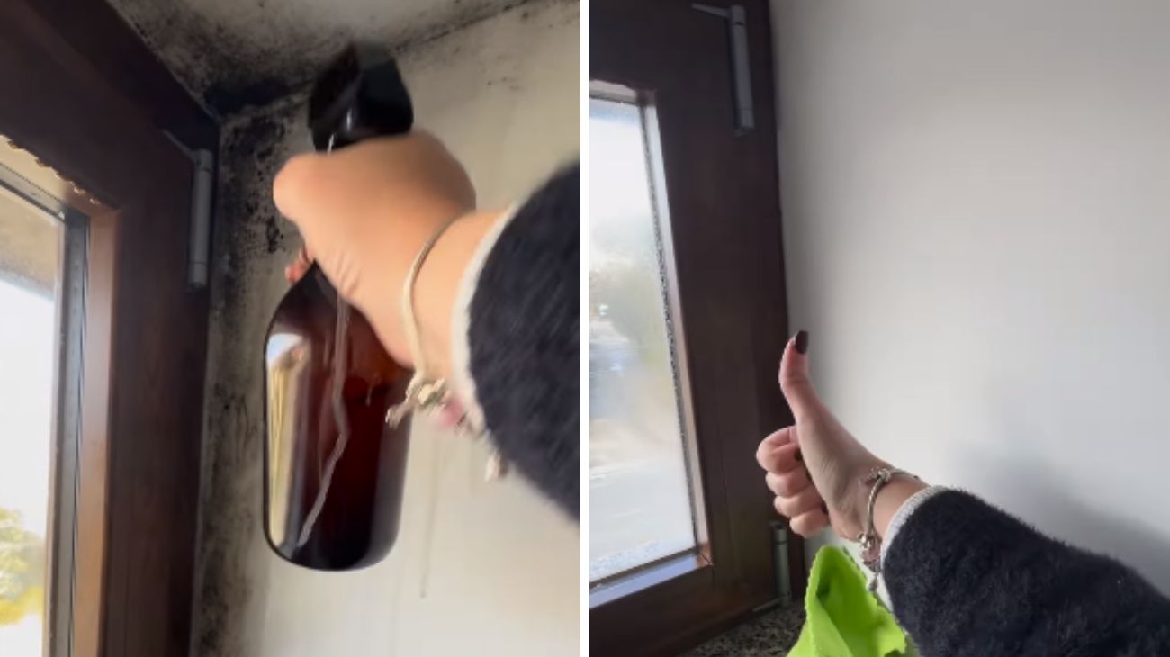 Muffa soluzione ecologica