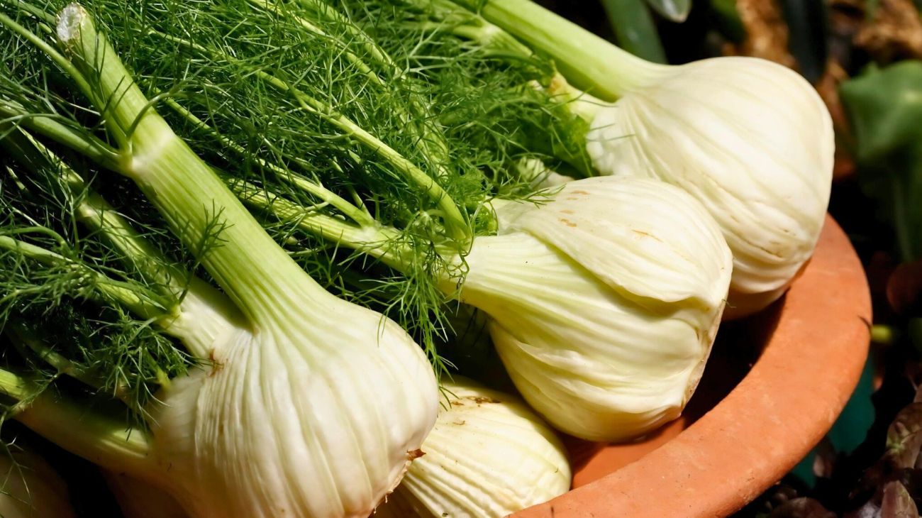 Pranzo Natale estratto finocchi