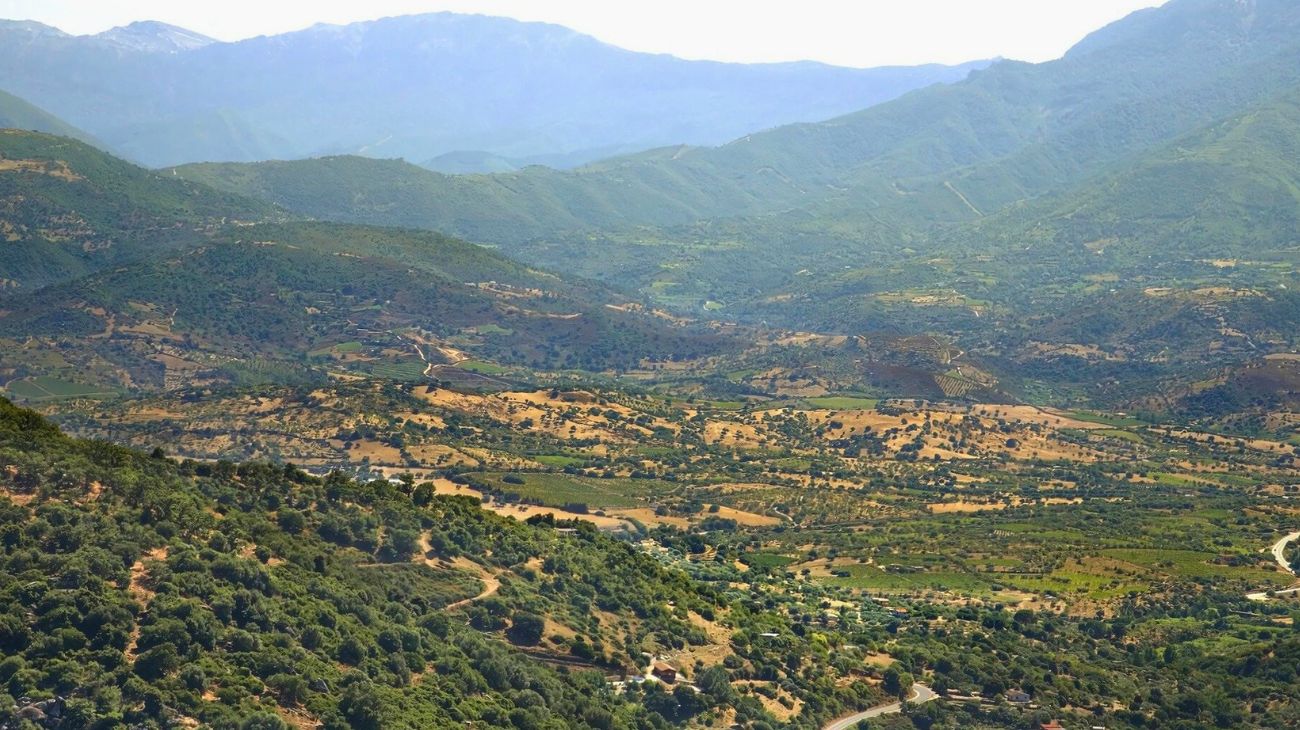 Sardegna concorso licenza media