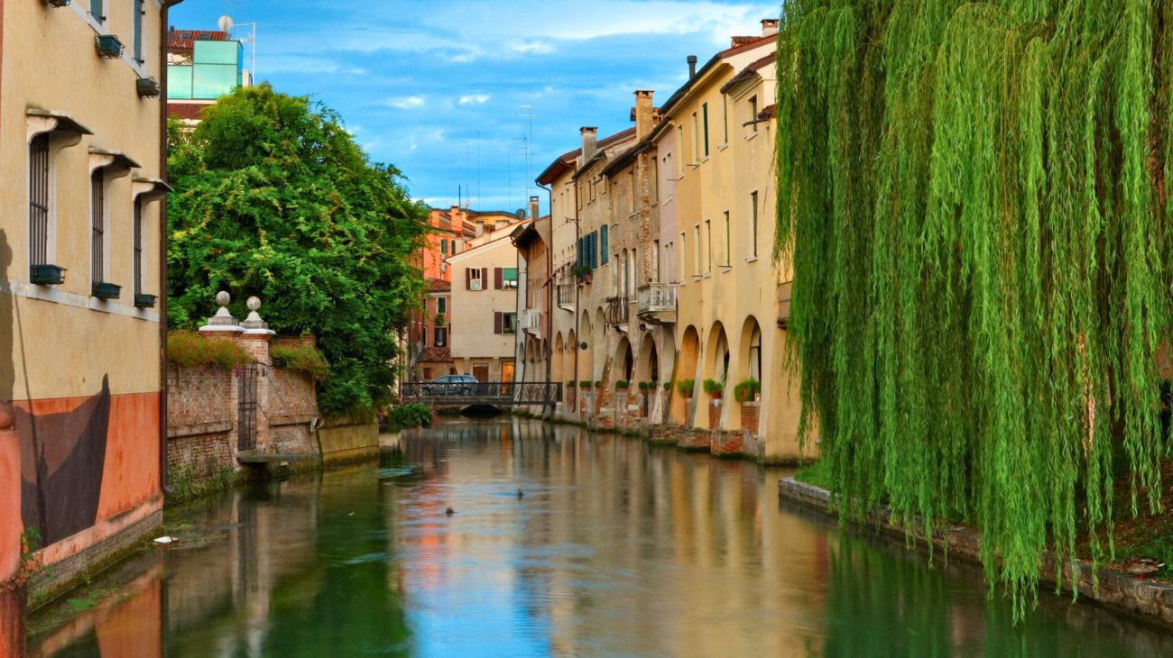 Veneto concorso licenza media