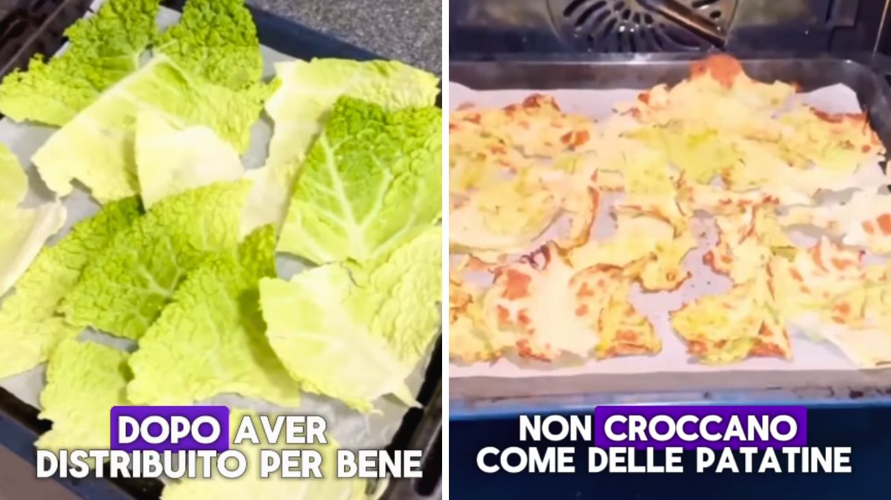 Verza Alessio Virgillito