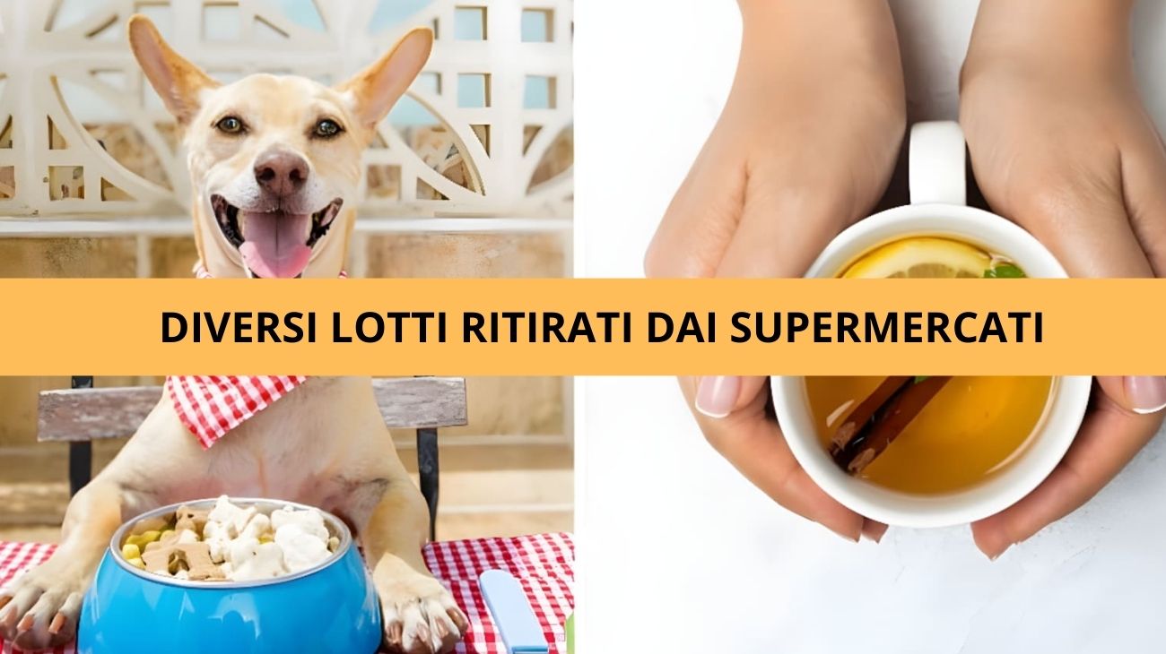 Cibo cani tisane