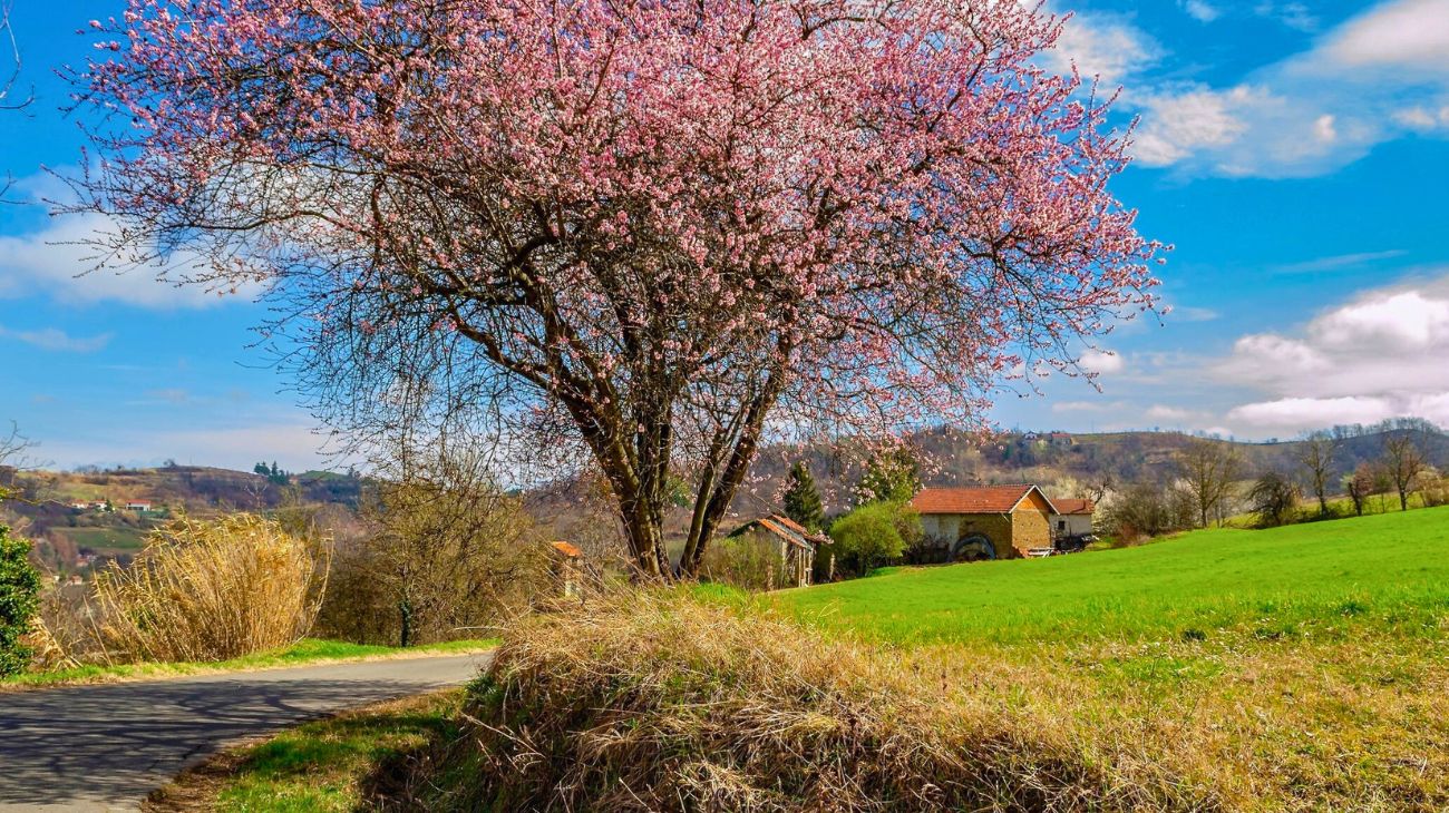Concorso in Piemonte