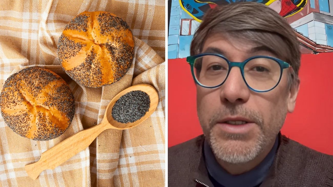 Semi papavero panini