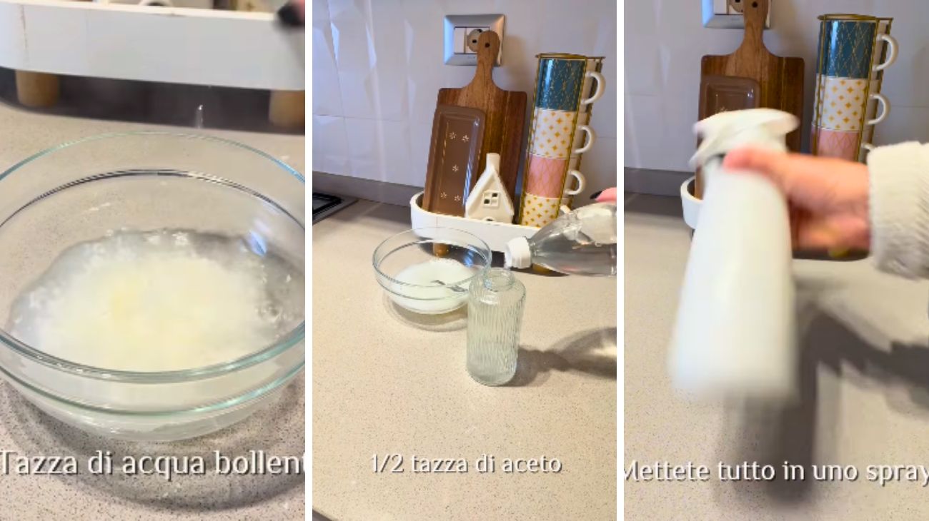 Sgrassatore fatto in casa