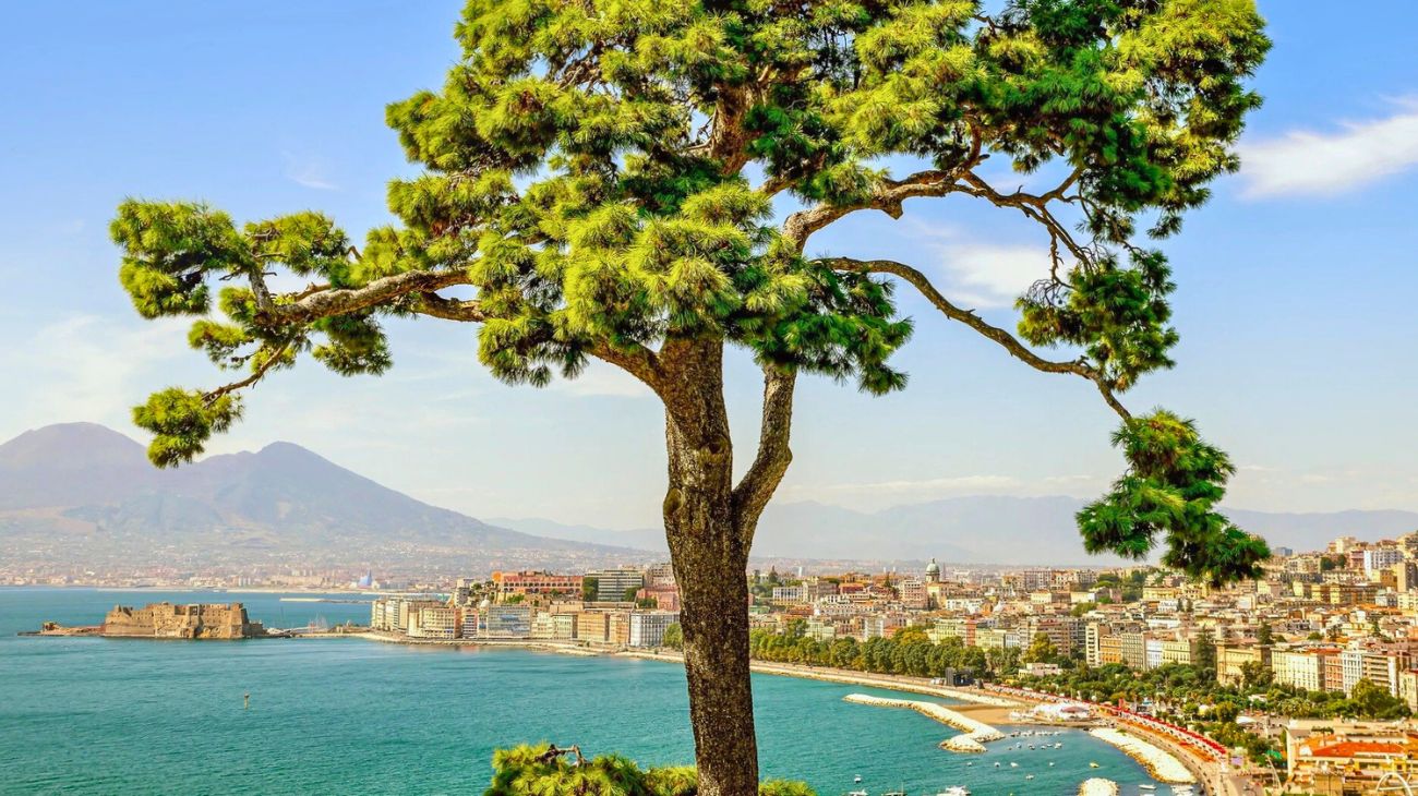 Campania concorso Napoli